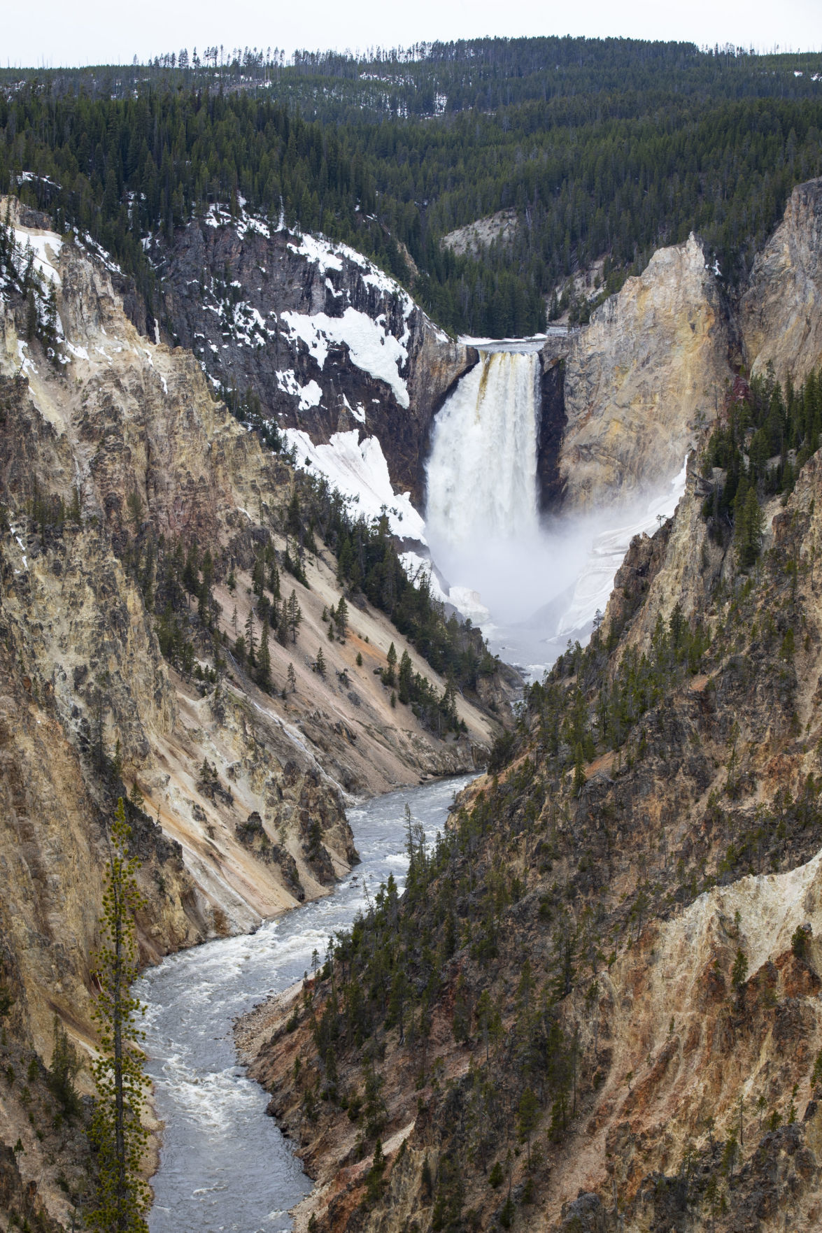 Yellowstone opens
